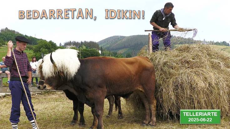 Bedarretan, idikin! (Telleriarte, 2025-06-22) (33'00'')