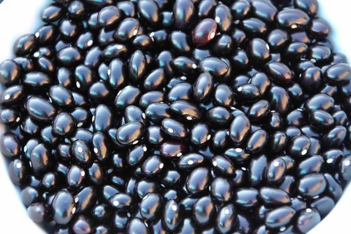 Tolosako Babarrunaren Festa  21 1542467333596