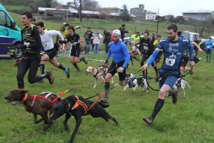 Zizurkil, txakur krosa 24 1490473946544