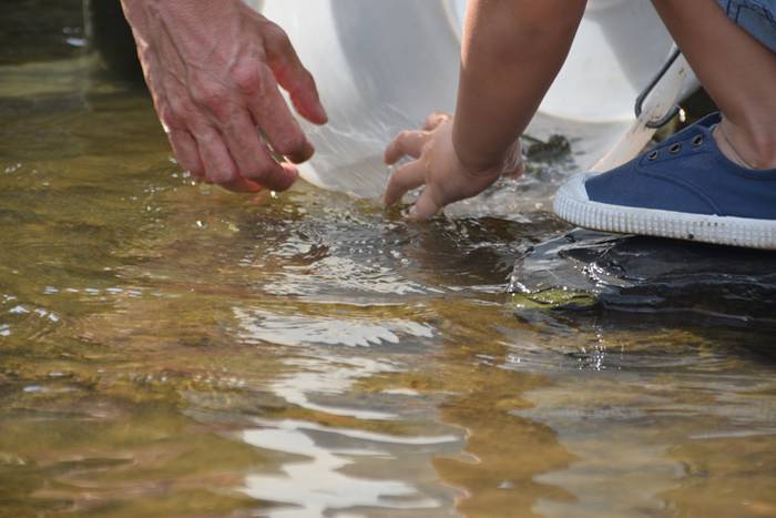 Izokinkumeak, Orian 23 1500724824522