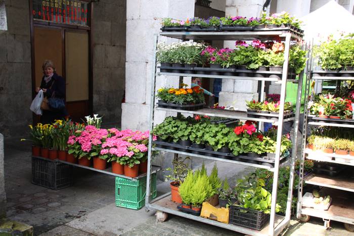 Udaberria loratu da Tolosan 11 1526734052567