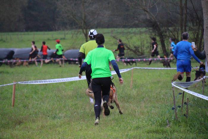 Zizurkilgo I. txakurkrosa 13 1460224031806