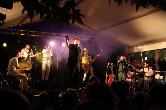 Janus Lesterrek emango du Zaldunita eguneko kontzertua