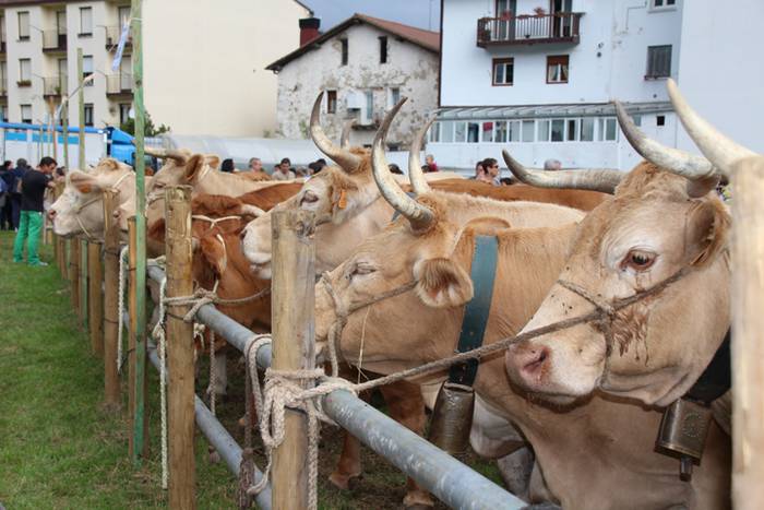 Hutsik egiten ez duen azoka berezia 20 1474813182929