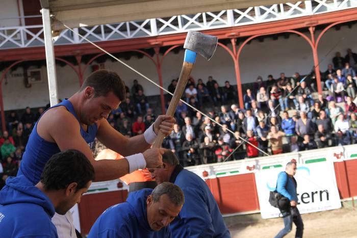 Arria V.aren apustua 3 1479746260828