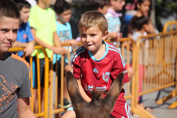 Gazteen festa egarriak ez du etenik 3 1472122395449