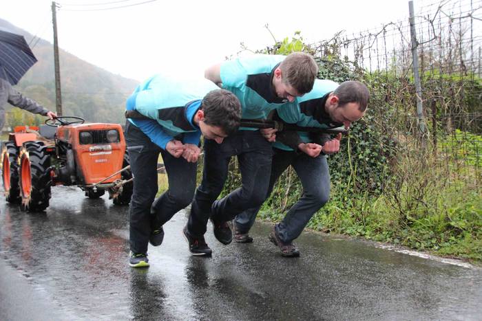 Indarrik ez da falta Amasan 20 1573910262746