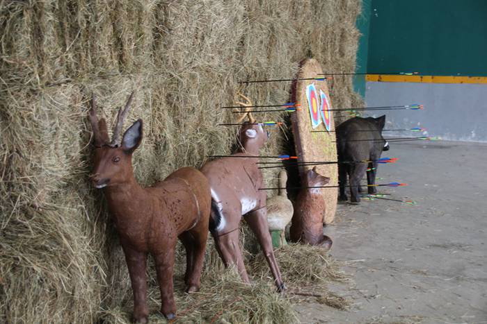 Arku-tiroa asteburu kulturalaren barruan 13 1478367473496