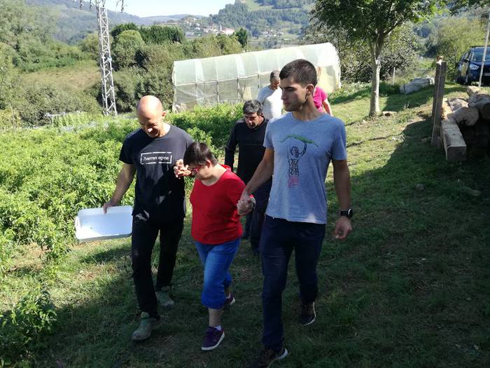 Ibarrako piperrak biltzen ar 11 1538055410085