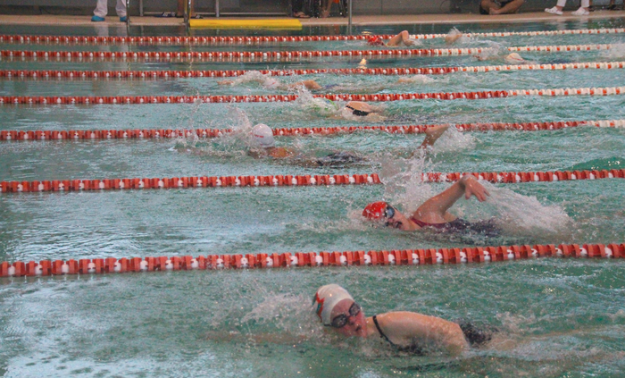 Kirol egokitua ere ikusgarri 8 1517072957052