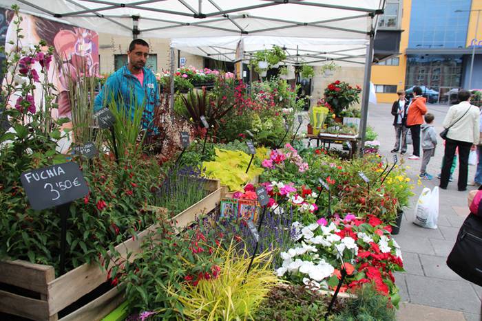 Lore eta Landare Azoka Tolosan 2016 21 1465051789841