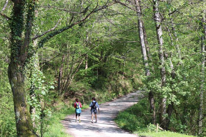 Tripa betetzeko tartea 17 1652007277805