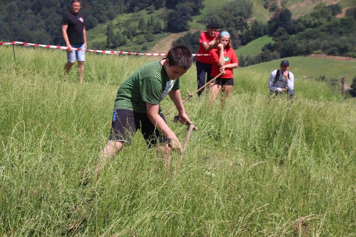 Erabaki dira Euskal Herriko  77 1532871103852