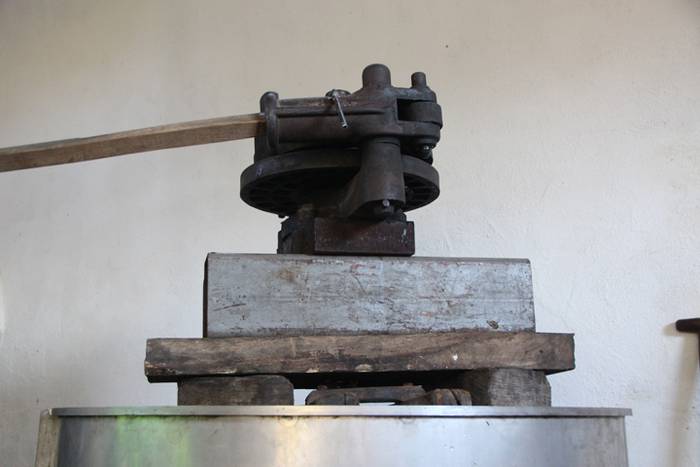 Sagarraren zukua, upelera 11 1477475748958