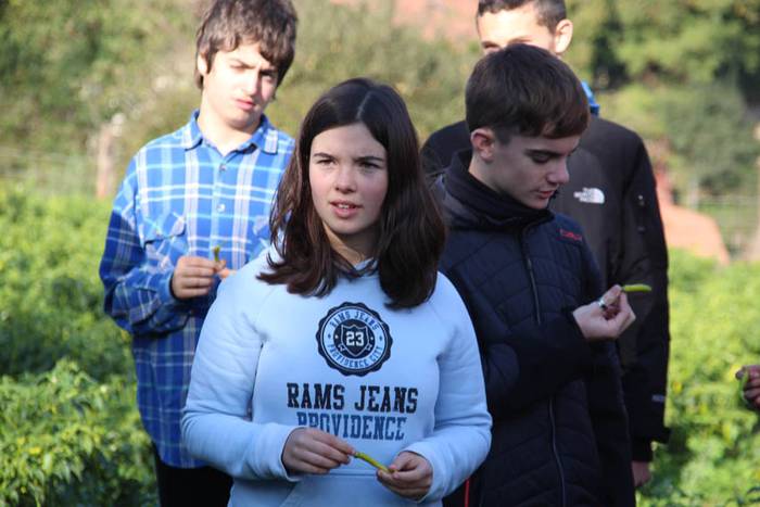 Piperraren zikloa 2015 5 1445442212036