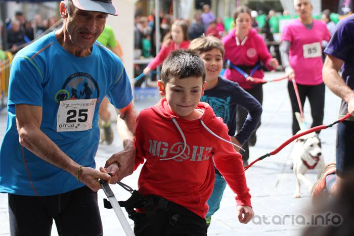 txakur krosa tolosa 2016 5 1458498830525