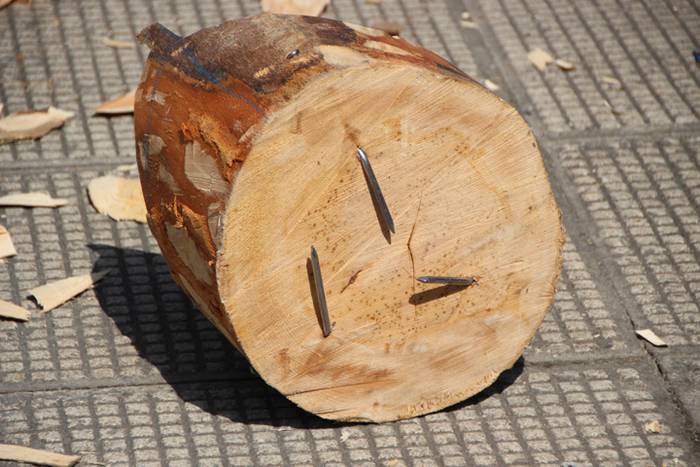 Mozorrorik onena, erakustald 55 1503591097143