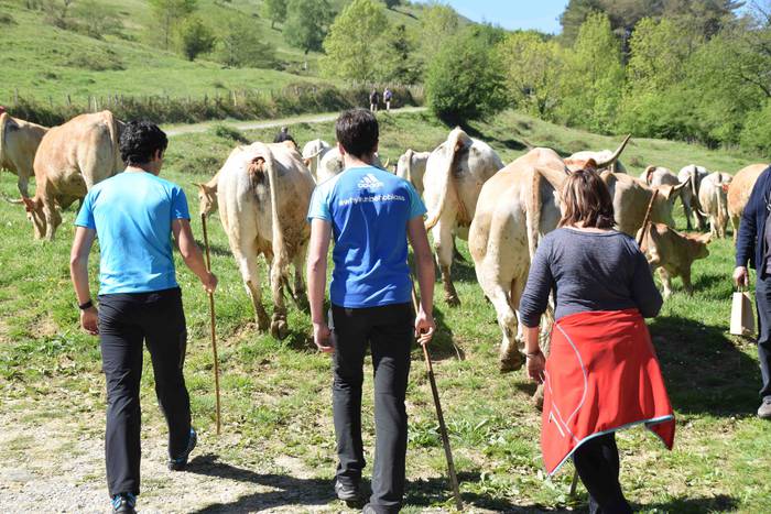 Larrerati dituzte abereak Ar 44 1556716311674