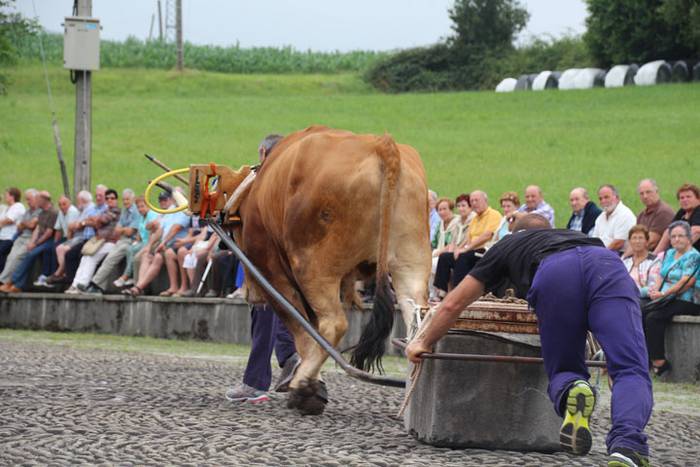 Hurrengo Ama Birjinari begira 34 1471366986426