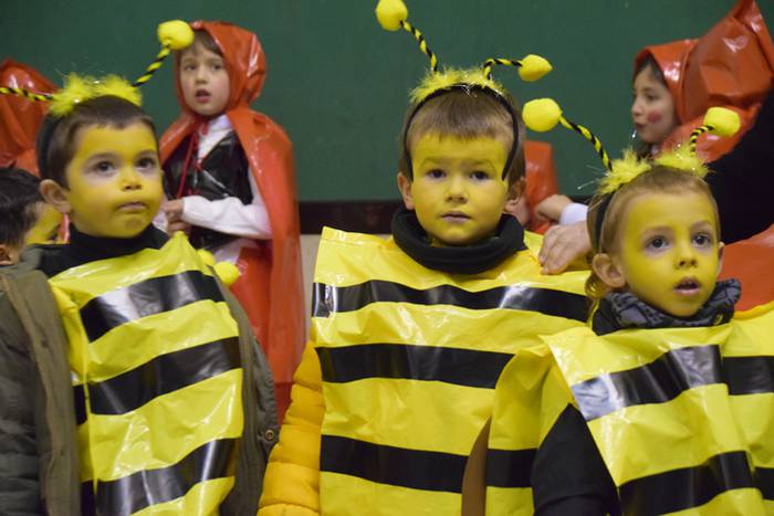 Irura, inauteriak 2018 3 1517997753122