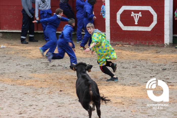 Zinbuluka ta zanbuluka 19 1487957690124