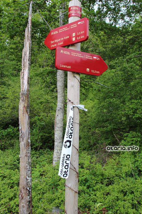 XIV Orduak Lekunberri-SanMigel-Guardetxe 70 1464533111970