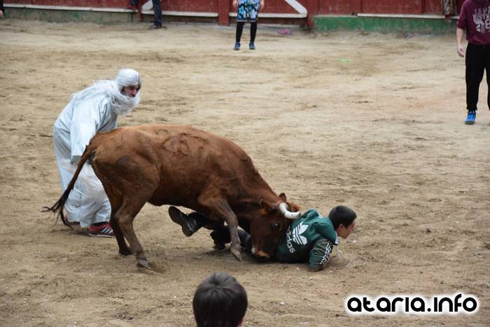 Pattar zezena 2016 47 1455012400536