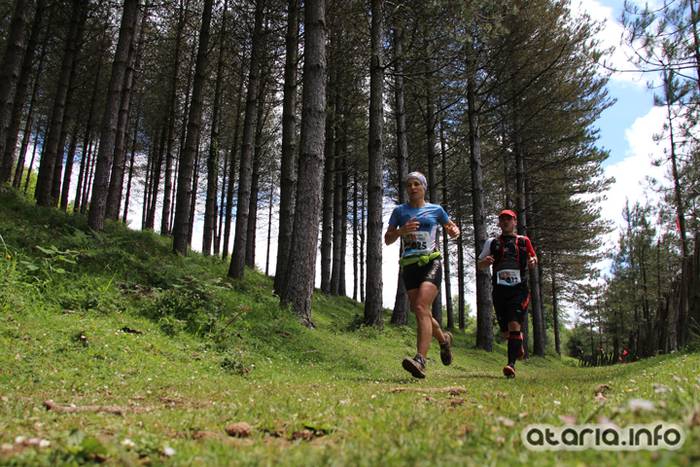 T3T tontor 2016 erroizpe 180 1466351344068