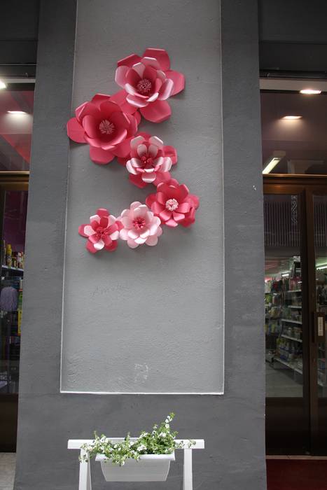 Eta liliek Tolosa ere amets 17 1495290287222