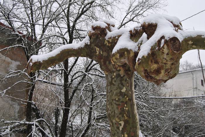 Argazki galeria: Tolosaldea, 21 1519809781155