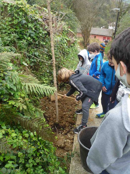 Zuhaitz landaketa Uzturpe ik 4 1616755855256