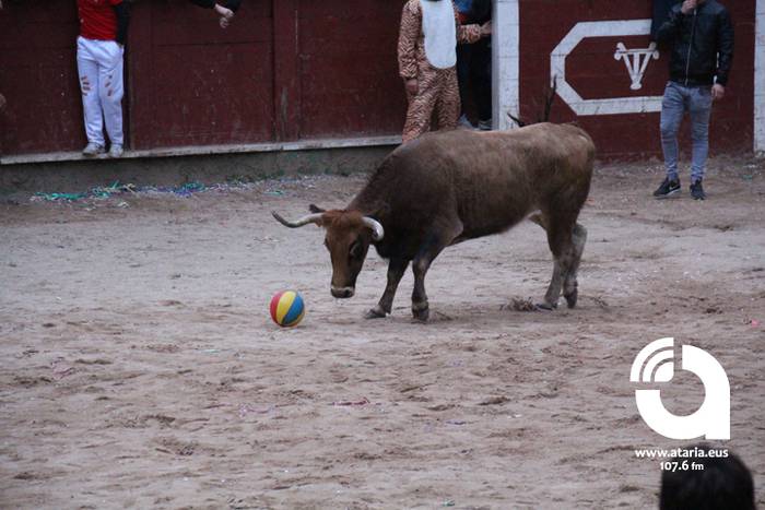 Zezenak adarrak okerrak ditu 8 1488277195362