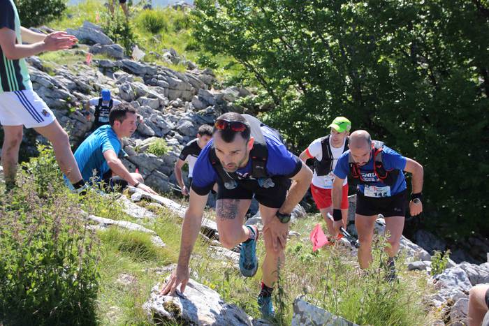 T3T, Hernio 2019 25 1560687987288