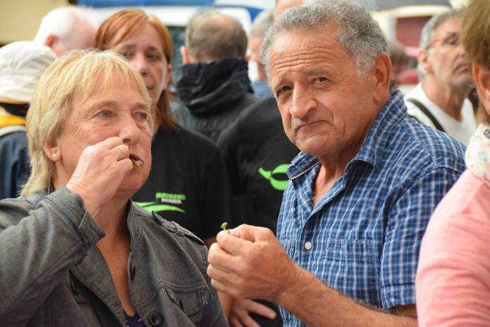 Ibarra festak 2018 haur danb 66 1535111903221