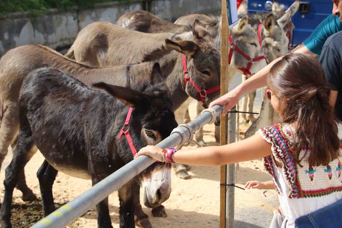 Inoiz baino bereziagoa 60 1568556742664