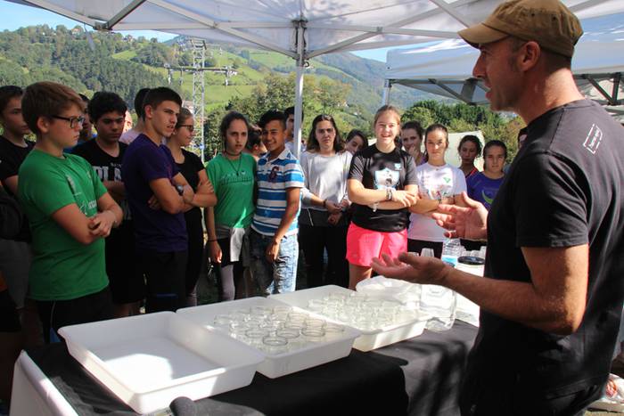 Ibarrako piperrak biltzen 20 3 1506520827367