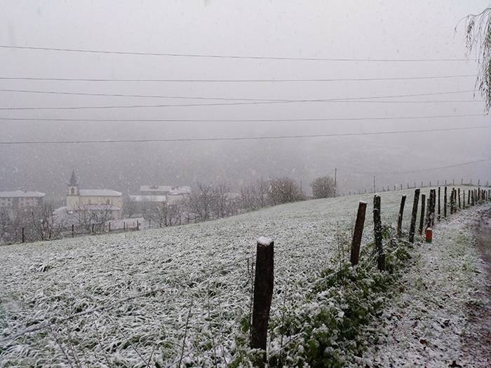 ELURRA 2017 AZAROA 11 1512123684007