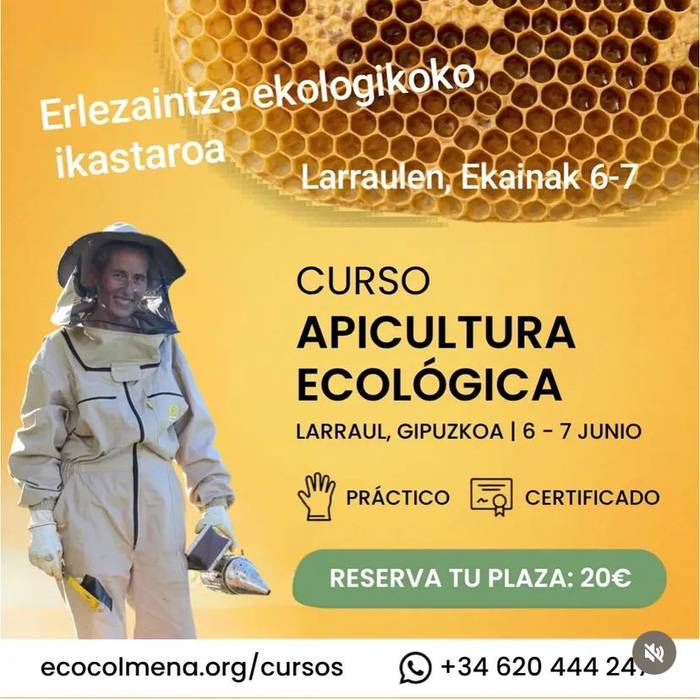 Ikastaroa