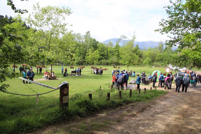 Amasamendiko larreetan bazka 2 1525172800325