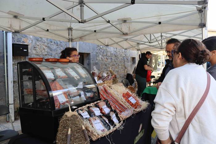 Zizurkilgo herrigunea azoka  21 1665320441889