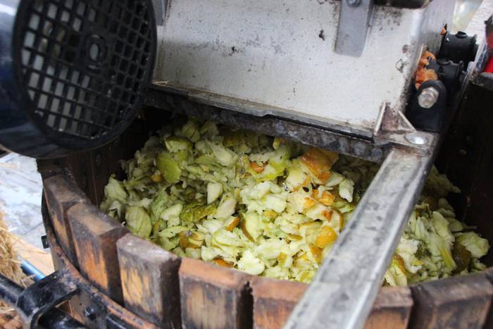 Zuhaitz Azoka Tolosan 2016 12 1456601469743