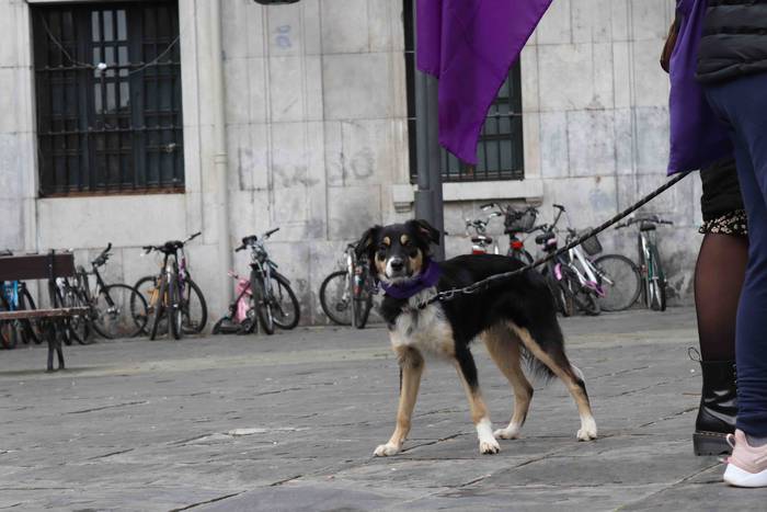 Indarkeria matxistak erailda 22 1637514121552