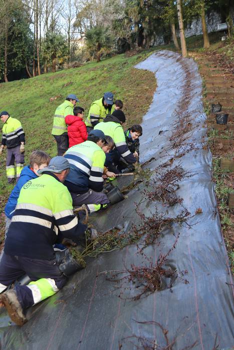 Tolosako ikasleek zuhaitzak  8 1520435461723