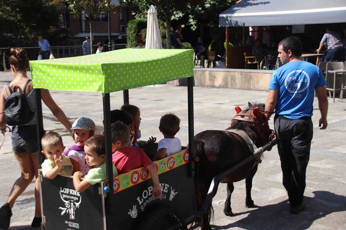 Festak hasteko, poniak eta z 45 1566994004403