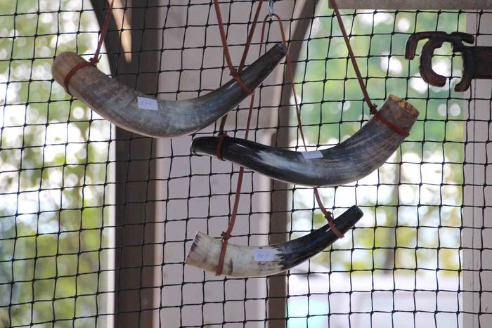 leaburu hamaikagarren azoka  11 1572184887875