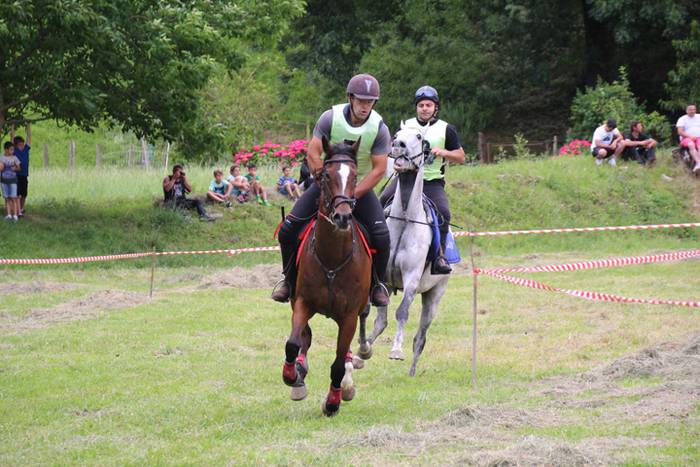 Zaldien gainean lehian 41 1497207352155