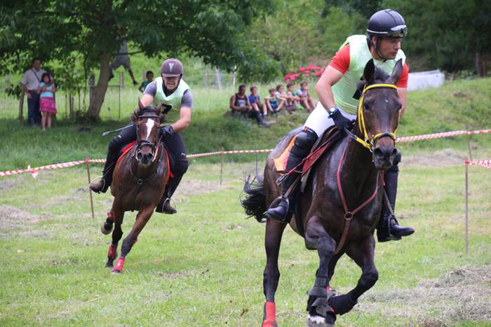 Zaldien gainean lehian 56 1497207441409