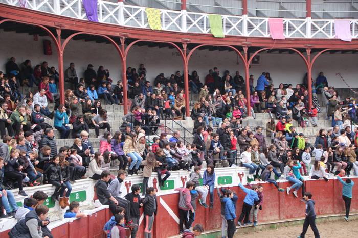 Txaranga eta zezenak piñata  26 1488738875147