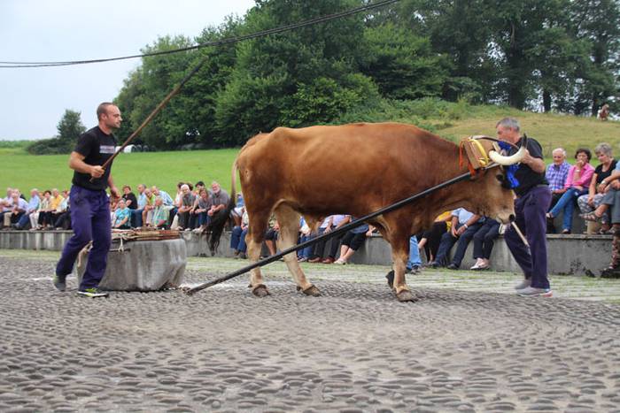 Hurrengo Ama Birjinari begira 37 1471367010762