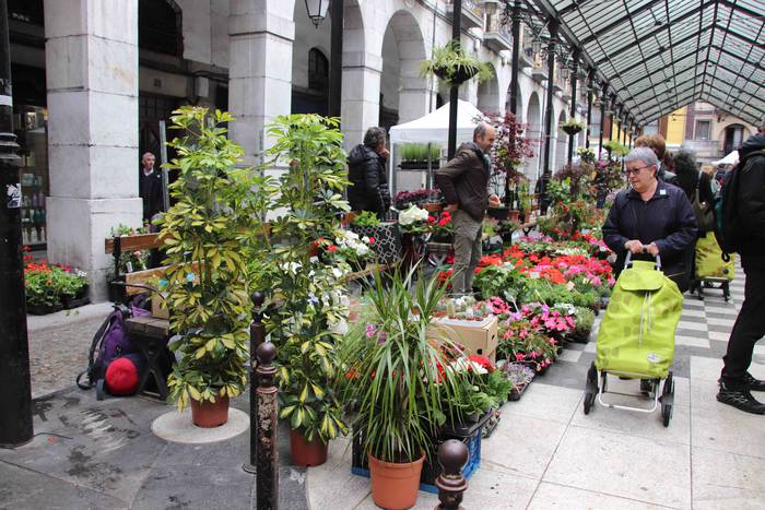 Lore eta Landare Azoka 2019 23 1558171906753